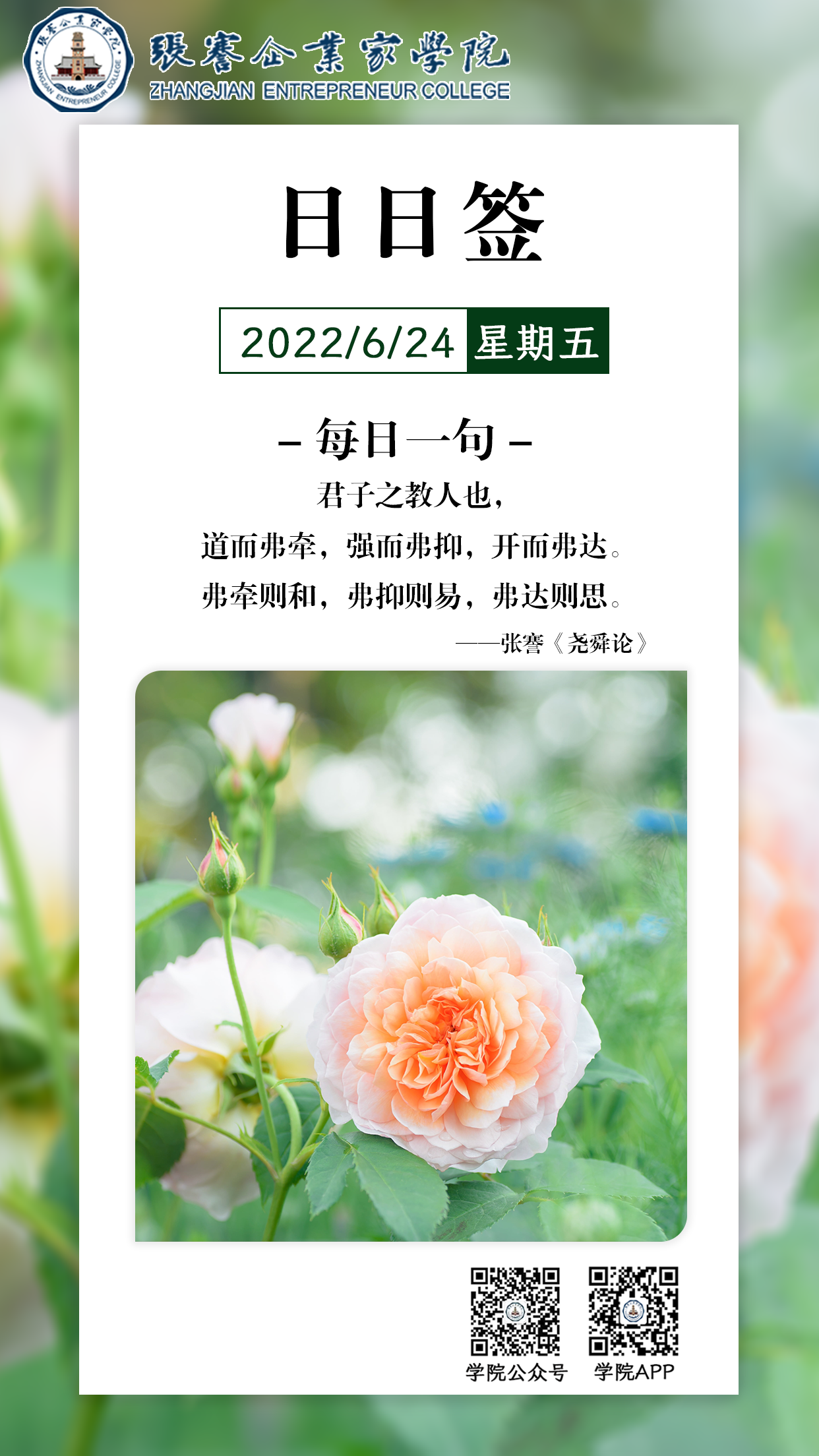 1656034012283.png 1656034012283.png