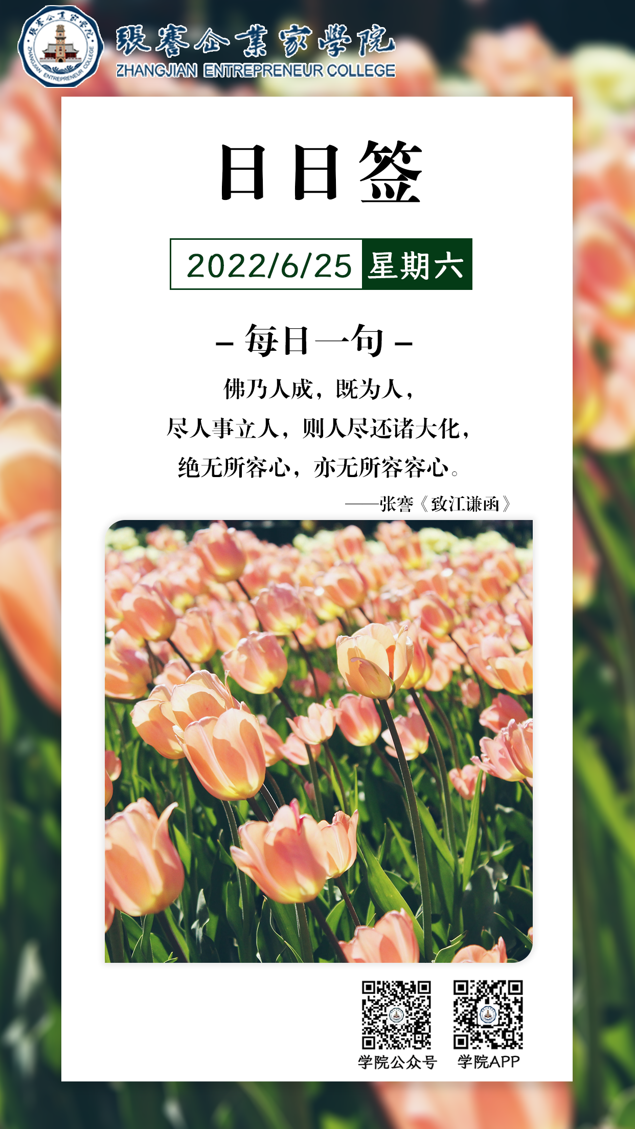 1656167272650.png 1656167272650.png