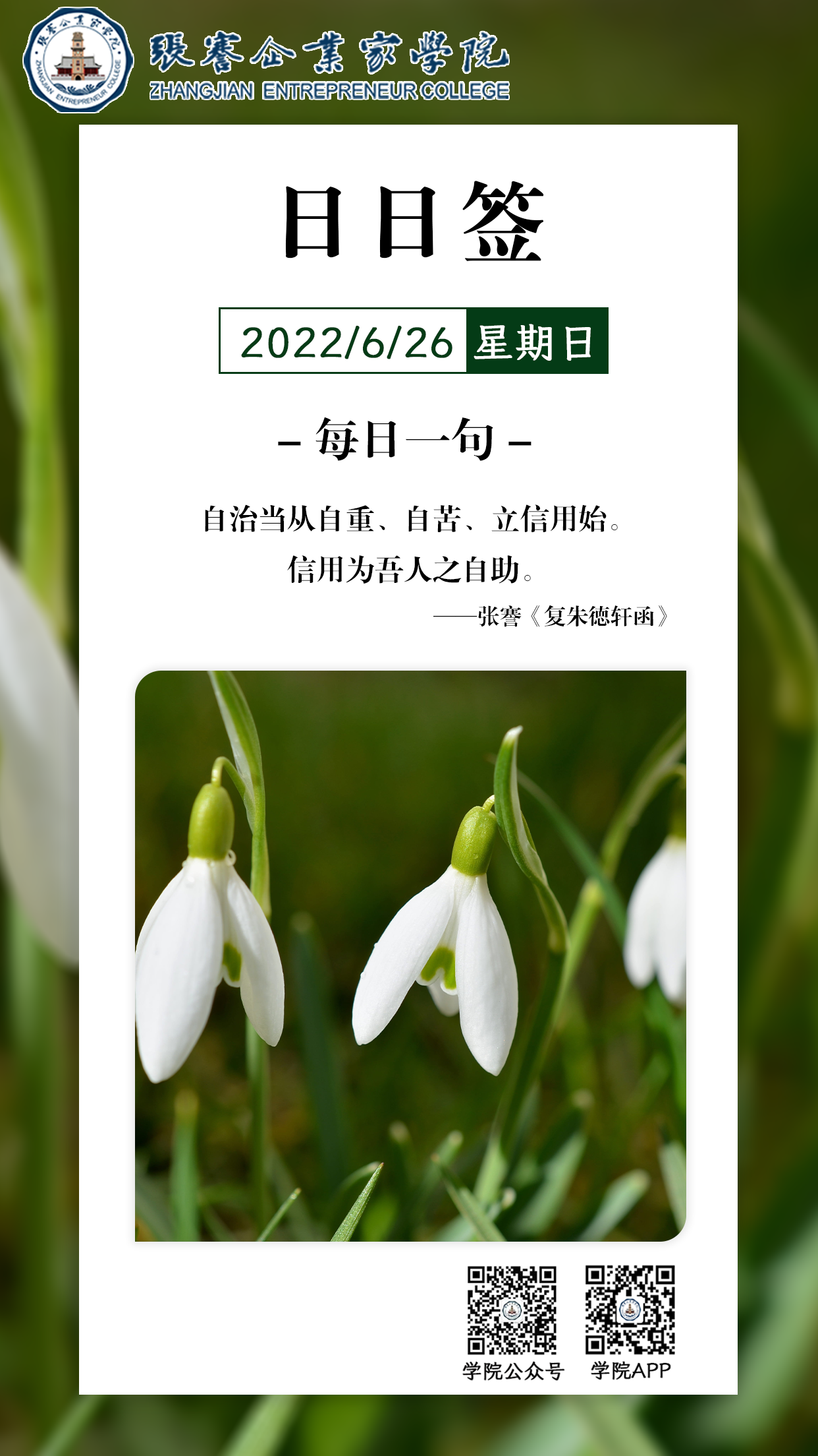 1656230562465.png