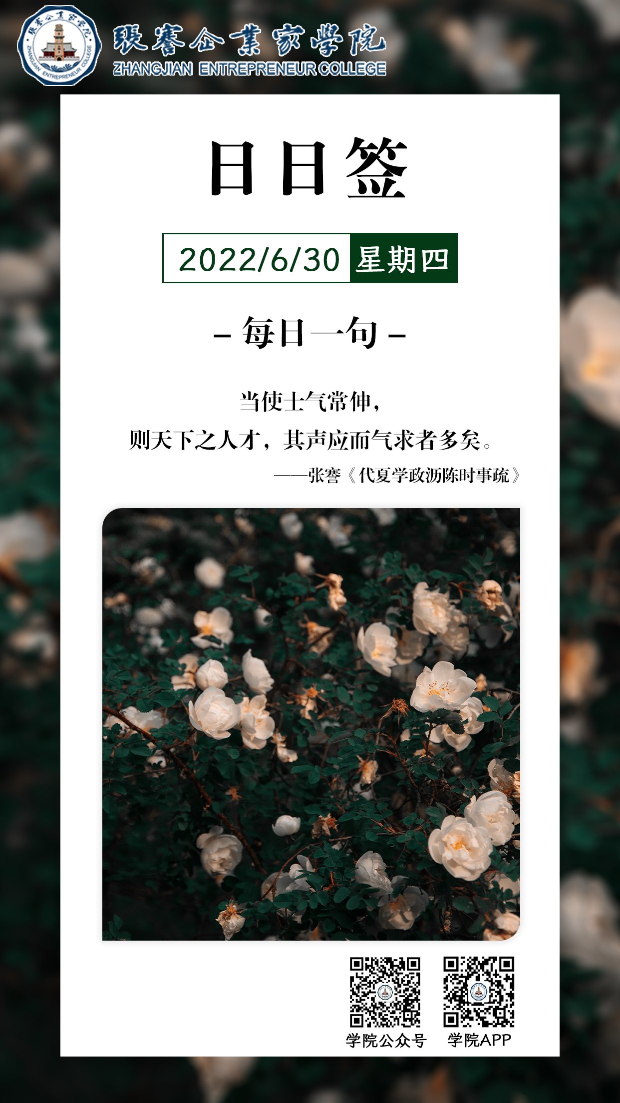 1656553591678.jpg