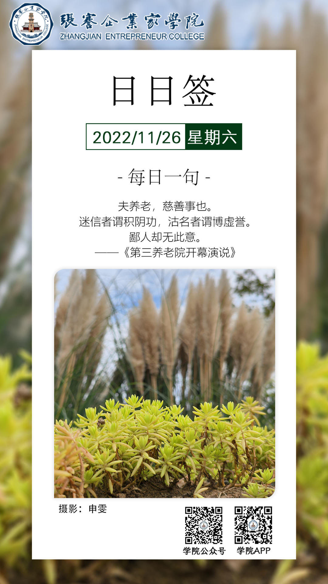 1669596135869.png 1669596135869.png